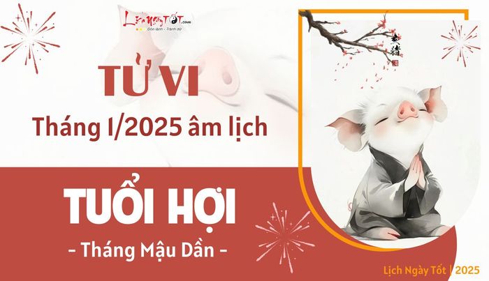 Tử vi tháng 1/2025 của tuổi Hợi âm lịch