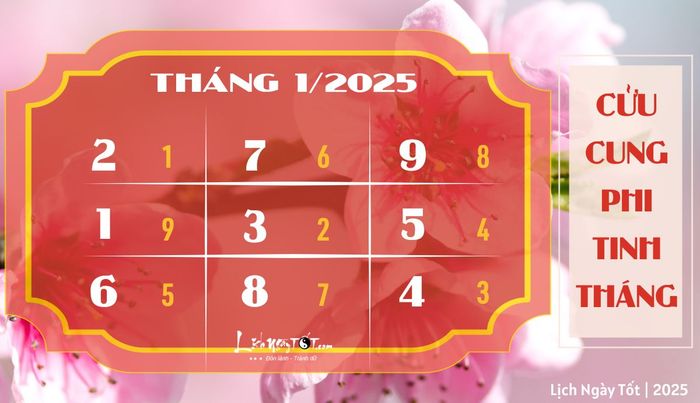 Phi tinh tháng 1/2025 âm lịch của 12 con giáp