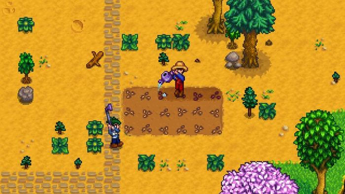 Cập nhật Stardew Valley - Phiên bản 9