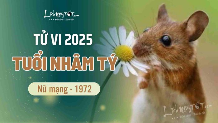 Tử vi tuổi Nhâm Tý nữ mạng 1972 năm 2025