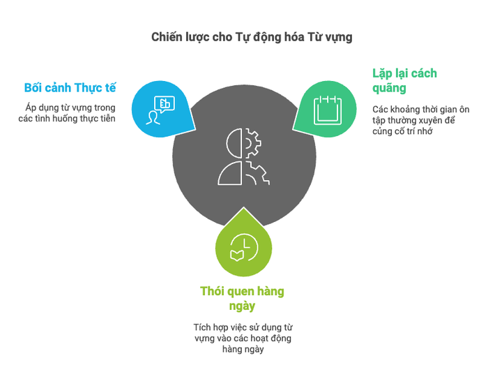 Chiến lược học từ vựng giúp tiết kiệm nỗ lực khi áp dụng từ vựng