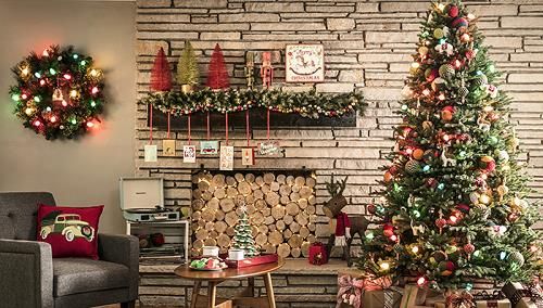 Nguồn gốc của cây thông Noel