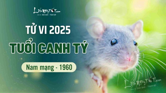 Tử vi cho nam tuổi Canh Tý 1960 trong năm 2025