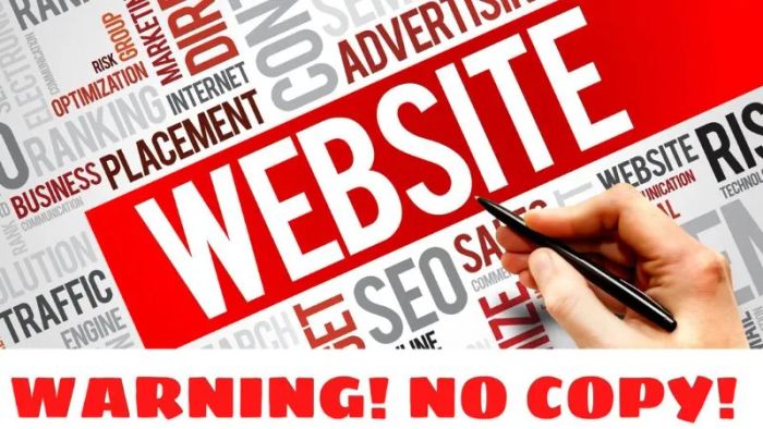 trang-web-bi-khoa-sao-chep-5