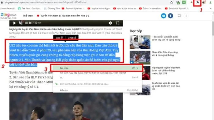 trang-web-bi-khoa-sao-chep-8