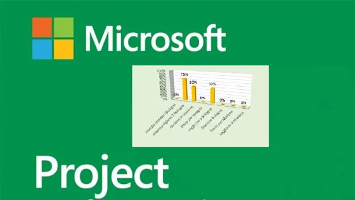 tai-project-1