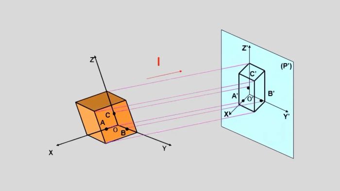 Các đặc điểm của hình chiếu là gì?