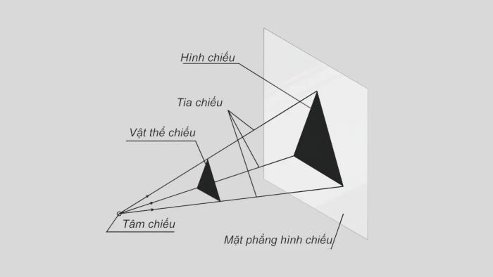 Khám phá khái niệm hình chiếu