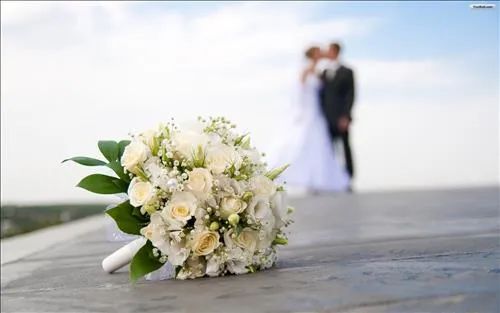 tìm kiếm tình yêu