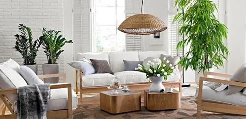 Cây cảnh trong phòng khách không chỉ giúp không gian trở nên đẹp mắt mà còn mang lại sự thư thái. Đặc biệt, cây cảnh là sự lựa chọn hoàn hảo cho những gia đình yêu thích thiên nhiên và muốn tạo sự gần gũi với môi trường sống.