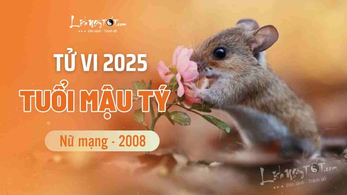 Tử vi năm 2025 cho nữ mạng Mậu Tý 2008