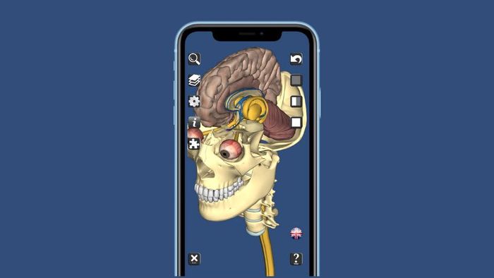 tai-phan-mem-anatomy-3