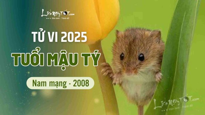 Tử vi năm 2025 cho tuổi Mậu Tý 2008 nam mạng