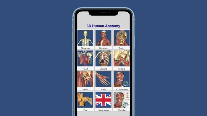 tai-phan-mem-anatomy-2