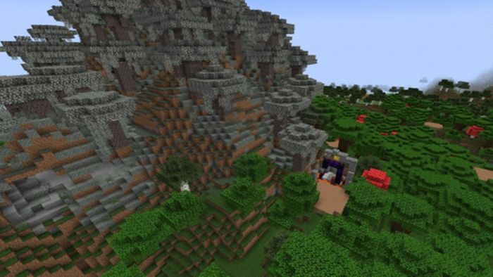 seed-minecraft-3