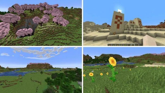 seed-minecraft