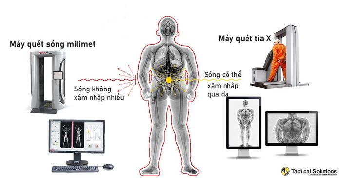 Vai trò của Giám đốc Tài chính trong doanh nghiệp