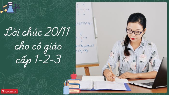 Lời chúc 20/11 dành tặng cô giáo các cấp học từ tiểu học đến trung học