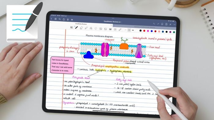 Ghi chú hiệu quả với GoodNotes 5