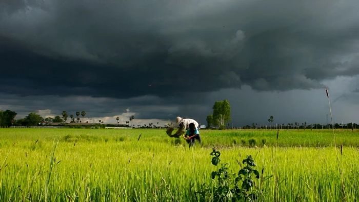Bài văn miêu tả cơn mưa đẹp nhất