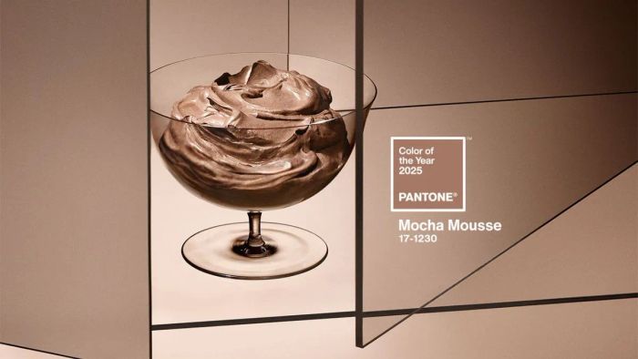 Ý nghĩa và thông điệp của màu sắc năm 2025 – Mocha Mousse