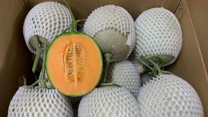 Hướng dẫn cách làm mứt dưa lưới và chọn dưa lưới ngon