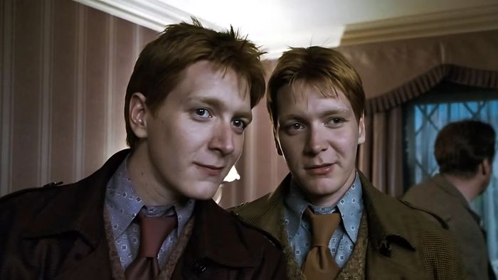 Nhân vật trong Harry Potter: Fred và George
