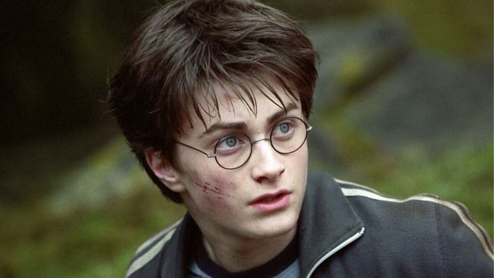 Nhân vật trong Harry Potter: Harry Potter