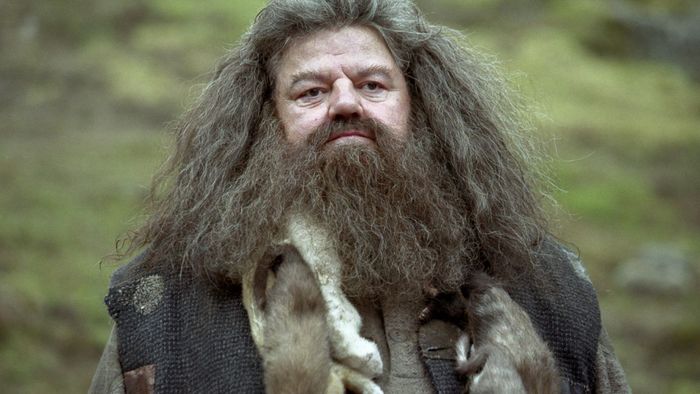 Nhân vật trong Harry Potter: Rubeus Hagrid