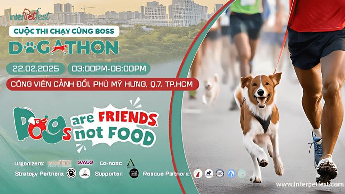 giải marathon 2025: Giải chạy InterPetFest Dogathon 2025