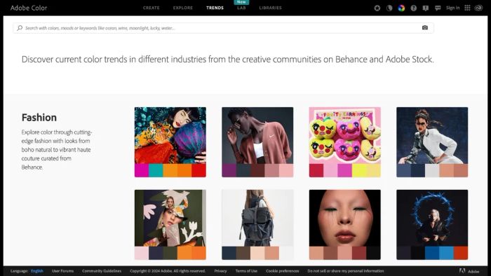 Adobe color