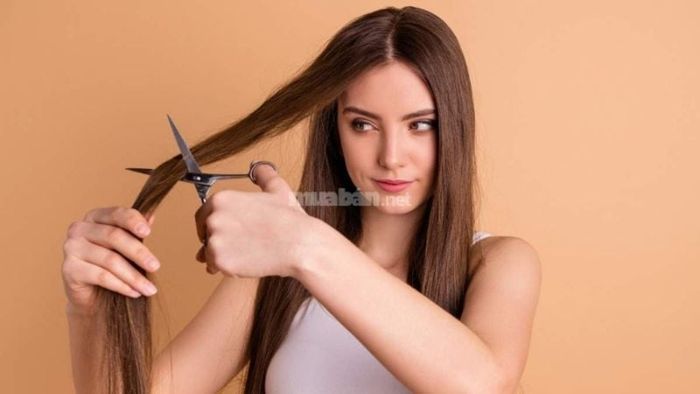 Nên hạn chế cắt tóc trước các kỳ thi hoặc sự kiện lớn trong cuộc đời