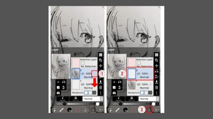 Hướng dẫn tải ibisPaint X cho máy tính – Thỏa sức sáng tạo trên PC