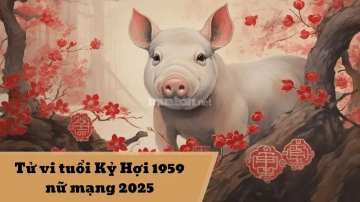 Tử vi năm 2025 của nữ mạng tuổi Kỷ Hợi 1959