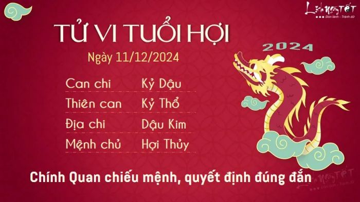 Tử vi hôm nay 11/12/2024 - Tuổi Hợi