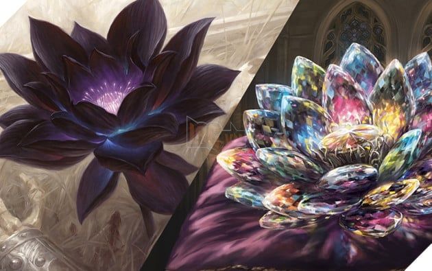 Một bộ thẻ bài được mở bán với giá lên đến 55 tỷ, nhưng game thủ vẫn cho rằng đây là một món hời.