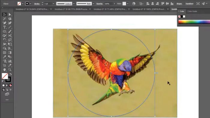 Hướng dẫn cắt hình trong AI với Clipping Mask bước 2
