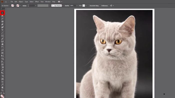 Hướng dẫn cắt hình trong AI với công cụ Cropping Tools bước 1