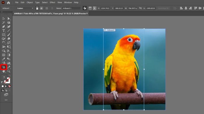Hướng dẫn cắt hình trong Illustrator với ArtBoard bước 1