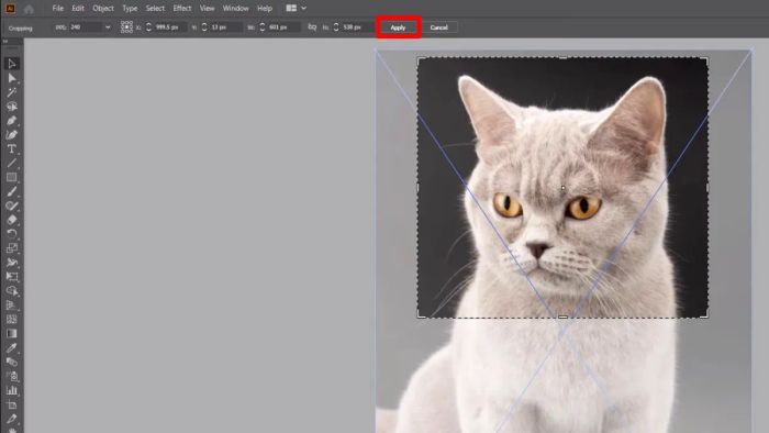 Hướng dẫn cắt hình trong AI với công cụ Cropping Tools bước 3