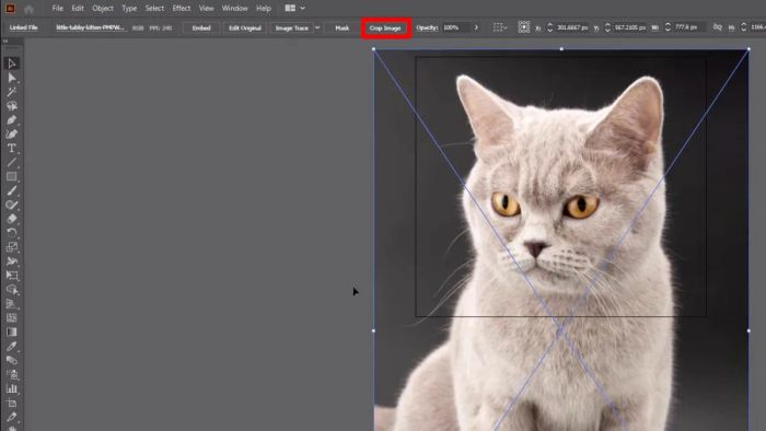 Hướng dẫn cắt hình trong AI với công cụ Cropping Tools bước 2