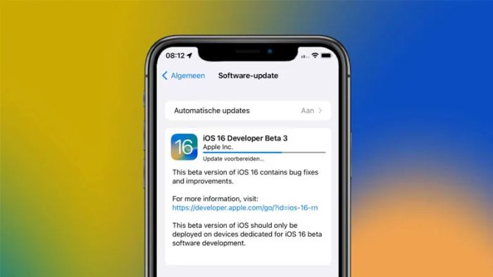 cach-xoa-ban-cap-nhat-ios-3