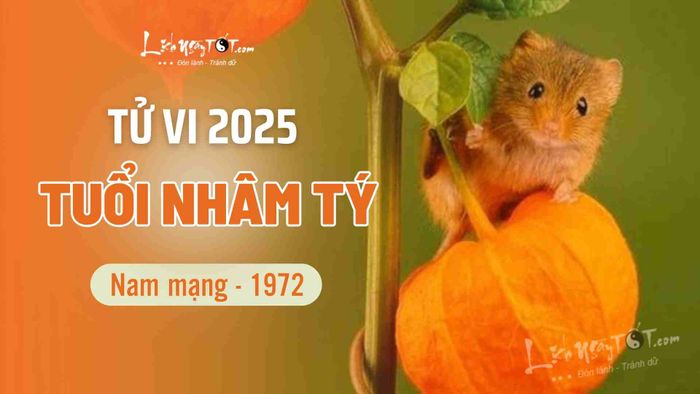 Tử vi 2025 cho tuổi Nhâm Tý nam mạng 1972