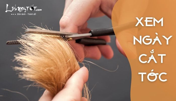 Xem ngay ngày cắt tóc phù hợp cho nam, nữ, người lớn và trẻ em.