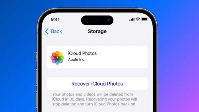 xoa-icloud-8
