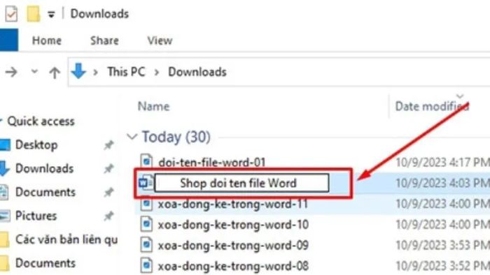 cach-doi-ten-file-word-9