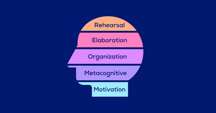 phân loại các chiến lược học tập rehearsal elaboration organization metacognition motivation