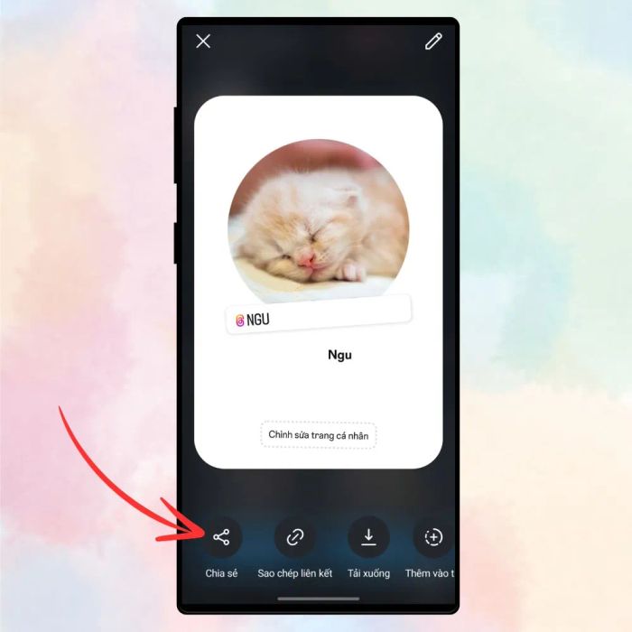 Hướng dẫn tạo danh thiếp cá nhân trên Instagram 4