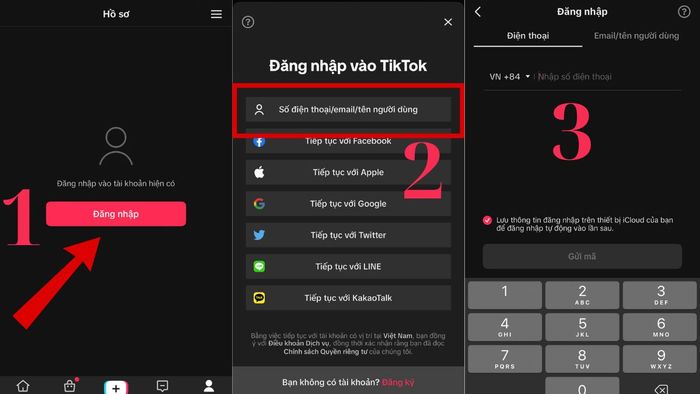 Đăng nhập vào TikTok bằng số điện thoại, email hoặc TikTok ID