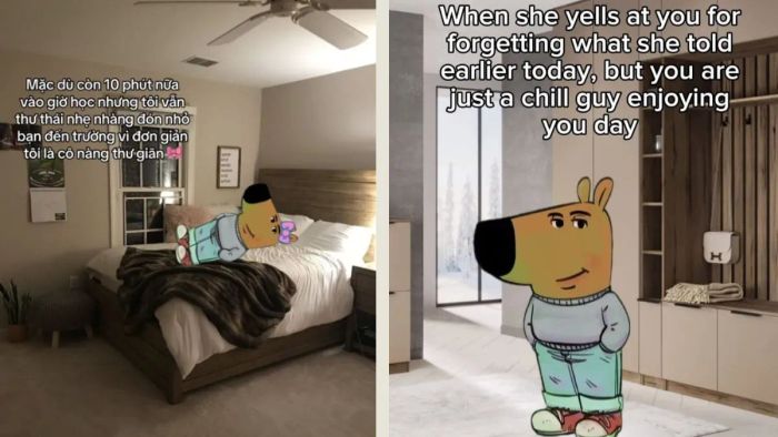 Gen Z theo trend Chill guy